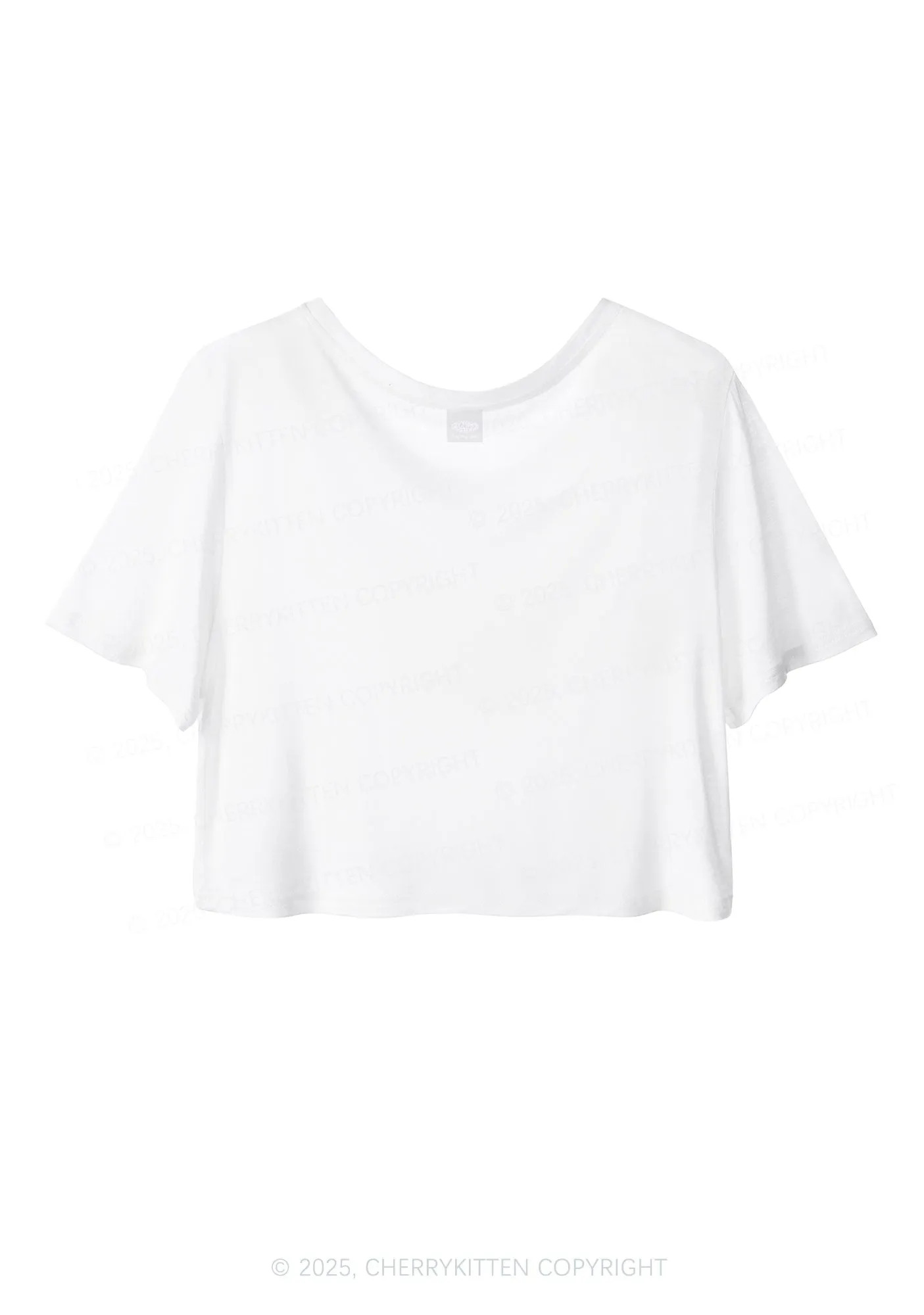 Bisexual Princess Pride Y2K Sheer Crop Tee Cherrykitten