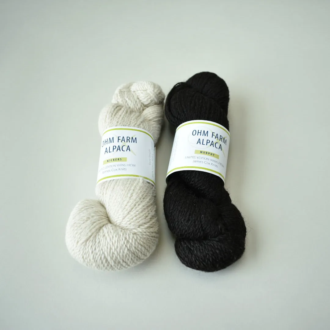 Reese Slouchy Beanie Kit