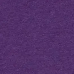 Texas Christian University Heathered Tyler T-Shirt